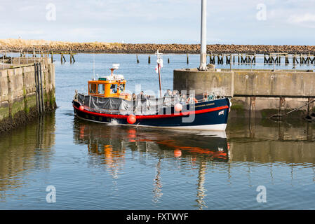 Amble Harbour Foto Stock