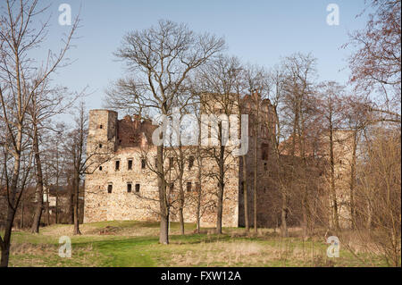 Antique Zamek w Drzewicy rovine, Castello di Drzewica dal 1527-1535 in Polonia, Europa, edificio esterno circondato da un fossato. Foto Stock