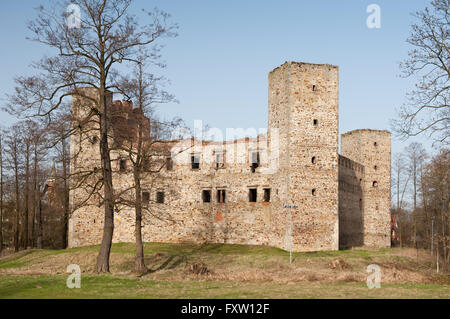 Vecchio Zamek w Drzewicy rovine, Castello di Drzewica dal 1527-1535 in Polonia, Europa, edificio esterno circondato da un fossato. Foto Stock