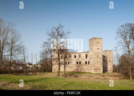 Visite turistiche Zamek w Drzewicy rovine, Castello di Drzewica dal 1527-1535 in Polonia, Europa, edificio esterno circondato da un fossato. Foto Stock