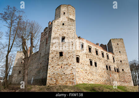 Vista sul Castello in rovine Drzewica, Zamek w Drzewicy dal 1527-1535 in Polonia, Europa, sightseeing edificio, luogo di viaggio. Foto Stock