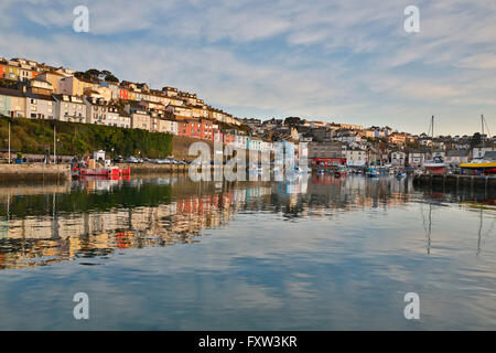 Brixham; porto; Devon, Regno Unito Foto Stock