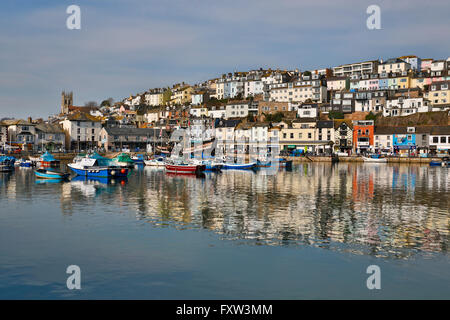 Brixham; porto; Devon, Regno Unito Foto Stock