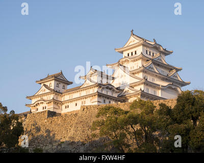 Il castello di Himeji e fiore di ciliegio, dopo i lavori di rinnovo completato nel 2015 . Himeji nella prefettura di Hyogo, Giappone. Foto Stock