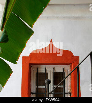 Finestra arabo dettaglio e banana foglia d'albero Foto Stock