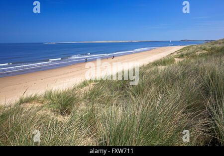 Una vista delle dune di sabbia e spiaggia a Brancaster, Norfolk, Inghilterra, Regno Unito. Foto Stock