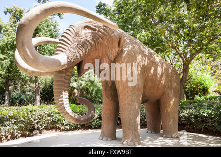 Grandi mammut, Mamut, Mammuthus Primigenius, Parc de la Ciutadella, Barcellona, Spagna Foto Stock