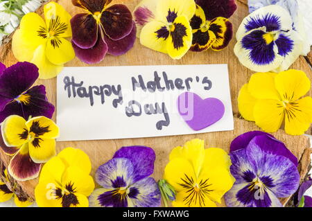 Felice Festa della mamma card con viola e fiori di colore giallo Foto Stock