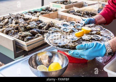 Vassoio aperto di ostriche fresche sul semiguscio su ghiaccio con il limone in una strada della capitale Bordeaux Aquitania. La Francia. Foto Stock