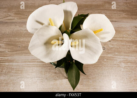 White calla lilies in vaso sullo sfondo di legno Foto Stock