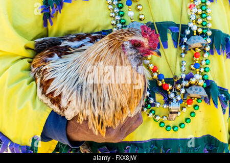 Rodney Vittoriano, didascalia di pollo, detiene uno del suo premio galli per il tradizionale il pollaio durante il Lake Charles famiglia fr Foto Stock