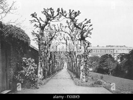 HAMPTON COURT: Queen Mary's Bower & sud anteriore, antica stampa 1897 Foto Stock