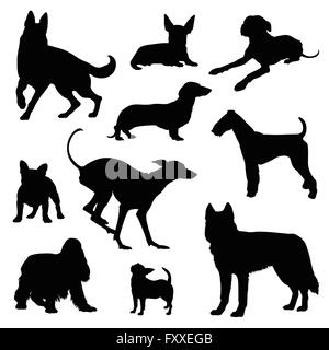 Illustrazione del cane impostato Foto Stock
