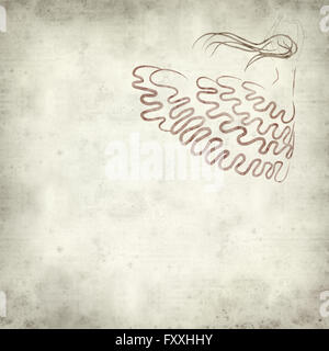 Textured vecchia carta dello sfondo con la ballerina di flamenco illustrazione Foto Stock
