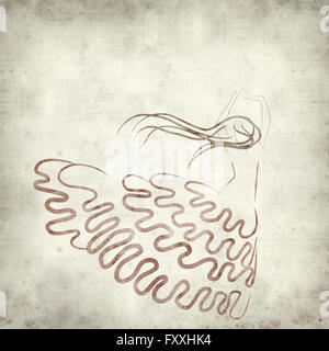 Textured vecchia carta dello sfondo con la ballerina di flamenco illustrazione Foto Stock