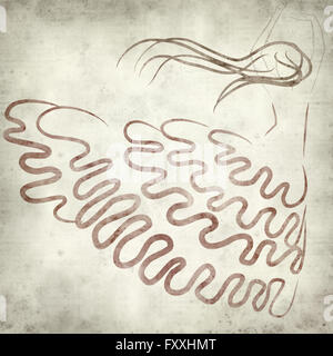 Textured vecchia carta dello sfondo con la ballerina di flamenco illustrazione Foto Stock