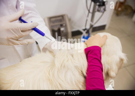 Veterinario dando iniezione per cane Foto Stock