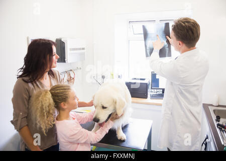 Veterinario a discutere di raggi x del cane Foto Stock