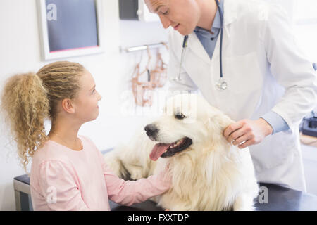 Veterinario esaminando orecchio del cane con il suo proprietario Foto Stock