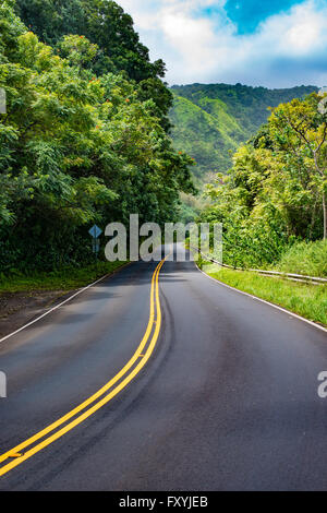 L'Autostrada Hana curve attraverso le foreste tropicali come si percorre la costa orientale dell'isola di Maui, STATI UNITI D'AMERICA. Foto Stock