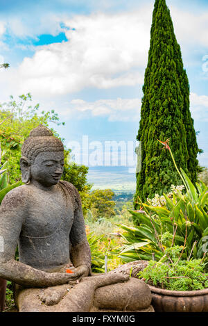 Statua di Buddha in un giardino in Upcountry Maui, Hawaii, STATI UNITI D'AMERICA Foto Stock