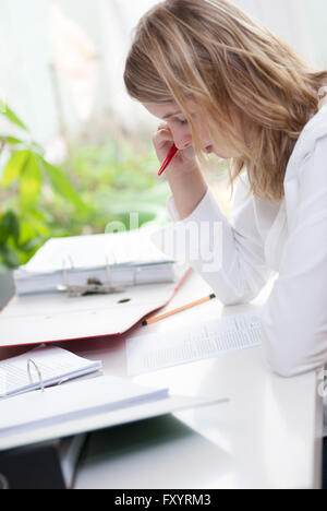 Giovane studente apprende alla scrivania nel suo appartamento Foto Stock