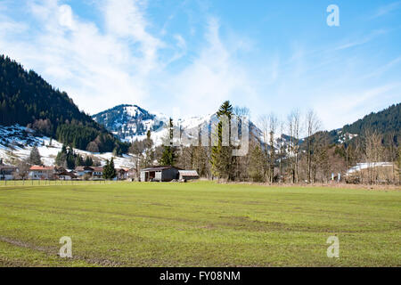 Idillico paesaggio delle Alpi con freschi prati verdi Foto Stock