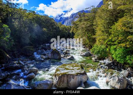 Un piccolo ruscello vicino Milford Sound sull'Isola del Sud della Nuova Zelanda. Foto Stock