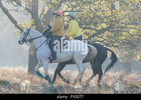 People equitazione a Richmond Park durante la mattinata di nebbia, Londra Inghilterra Regno Unito Regno Unito Foto Stock