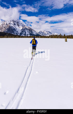 Backcountry rider sotto il monte Moran, Grand Teton National Park, Wyoming USA Foto Stock