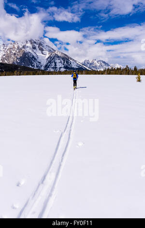 Backcountry rider sotto il monte Moran, Grand Teton National Park, Wyoming USA Foto Stock