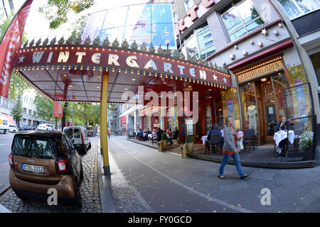 Wintergarten, Potsdamer Strasse e il Tiergarten, nel quartiere Mitte di Berlino, Deutschland Foto Stock