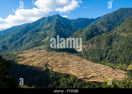 Campi di riso terrazzati di Nabji, visto da un piede il sentiero che conduce il crinale di Korphu villaggio nel sud del Bhutan Foto Stock