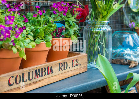 London, Regno Unito - 17 Aprile 2016: Columbia Road Flower mercato domenicale. Acquista Windows display