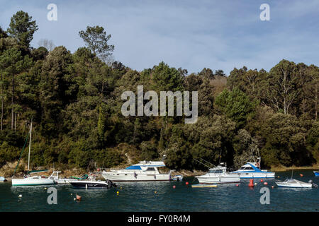 Butron foce del fiume nel villaggio di Plentzia, Bilbao, Paesi Baschi Foto Stock