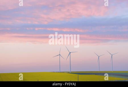 Campo delle Eolie e delle turbine a vento al tramonto Foto Stock