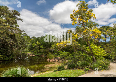 Morikami Museum e Giardini Giapponesi, Florida, Stati Uniti d'America Foto Stock