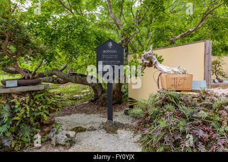 Morikami Museum e Giardini Giapponesi, Florida, Stati Uniti d'America Foto Stock