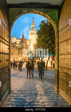 La Giralda torre campanaria , cattedrale, vista da Los Reales Alcazares, Sevilla, Andalusia, Foto Stock