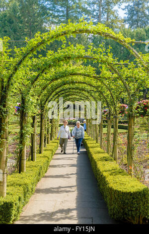 Le donne anziane passeggiare sul sentiero sotto il pergolato di rose, Butchart Gardens, Brentwood Bay, vicino a Victoria, British Columbia, Canada Foto Stock