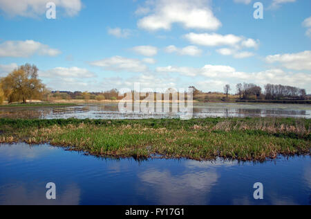 Primavera nella campagna inglese, come un fiume straripa e riempie una pianura alluvionale Foto Stock