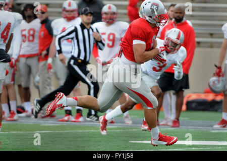 Albuquerque, NM, Stati Uniti d'America. Xvi Apr, 2016. Proprio #8 Cole Gautsche si dirige verso la zona di estremità nel loro scrimmage sabato presso la University Stadium. Sabato, Aprile. 16, 2016. © Jim Thompson/Albuquerque ufficiale/ZUMA filo/Alamy Live News Foto Stock