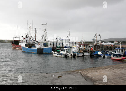 Il porto di Burtonport, County Donegal, Irlanda. Foto Stock