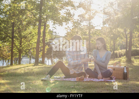 Giovane su un picnic al parco con tostatura champagn Foto Stock