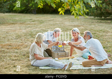 I cittadini anziani avente il divertimento a un picnic in estate nel parco Foto Stock