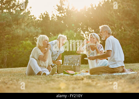 Gruppo di anziani nel parco in un picnic in estate divertimento Foto Stock