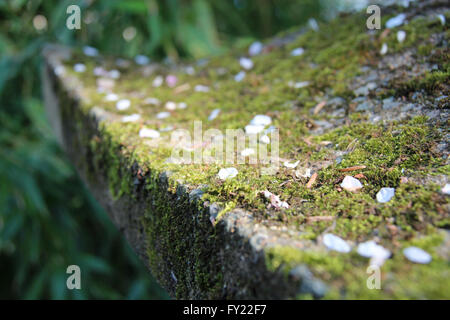 Lanterna di pietra in un giardino giapponese a Nantes (Francia). Foto Stock