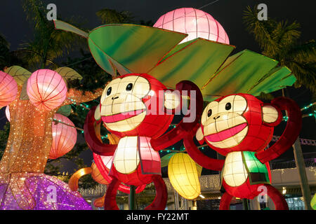 Monkey figure come lanterne, esposizione, per l'anno cinese della scimmia 2016, Tsim Sha Tsui, Kowloon, Hong Kong, Cina Foto Stock