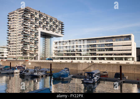 Edificio Kranhaus e marina, Rheinauhafen, Colonia, nella Renania settentrionale-Vestfalia, Germania Foto Stock