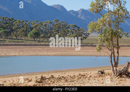 Livello basso di acqua in una diga a Bartholomeus Klip nella Western Cape che è stato colpito duramente dalla siccità del 2016 Foto Stock